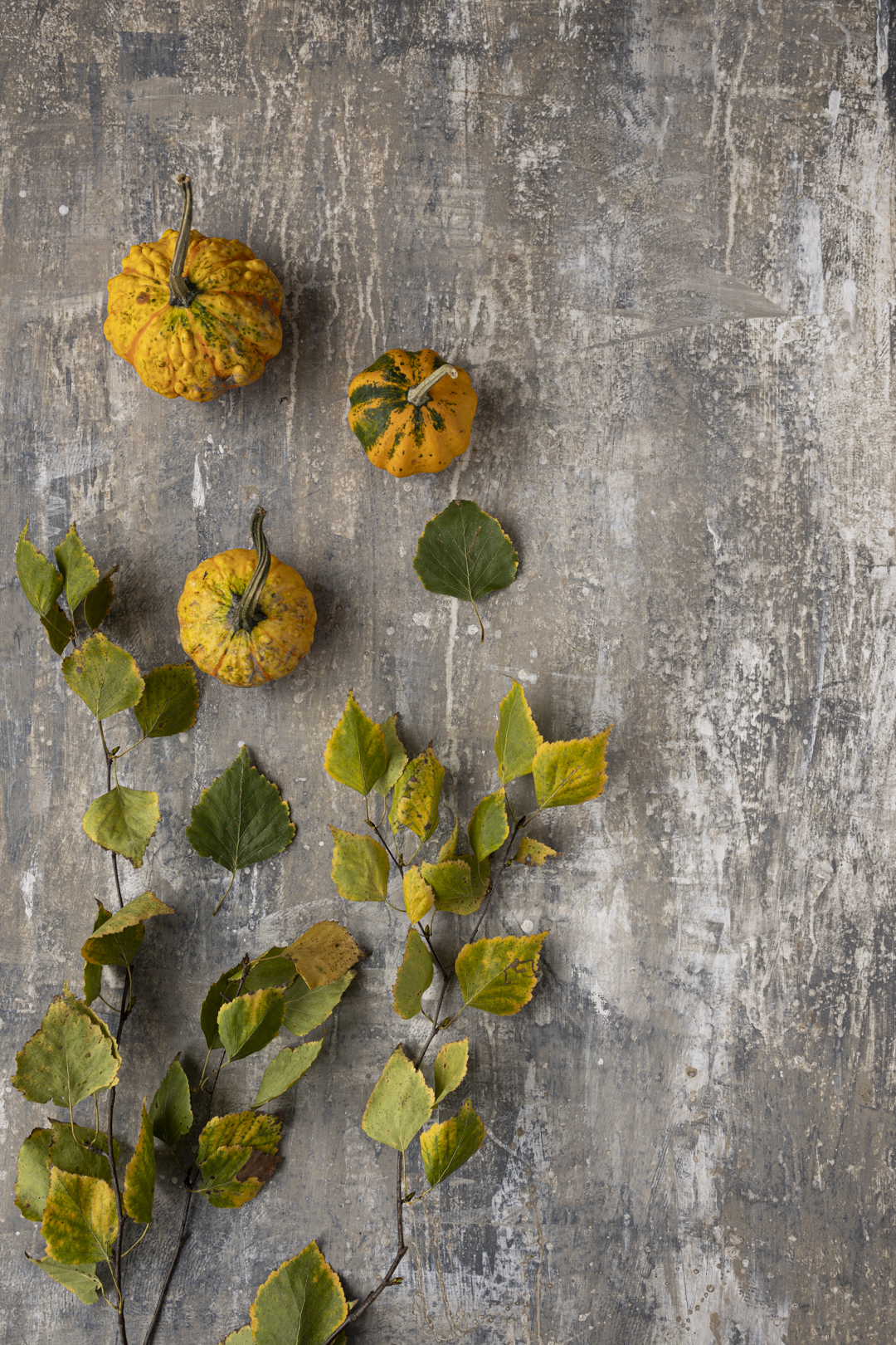 Ręcznie malowane tło Made in Italy